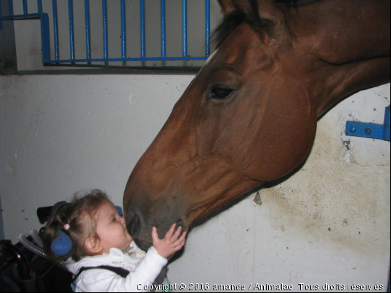 Quelle belle complicité..... - Photo de Chevaux