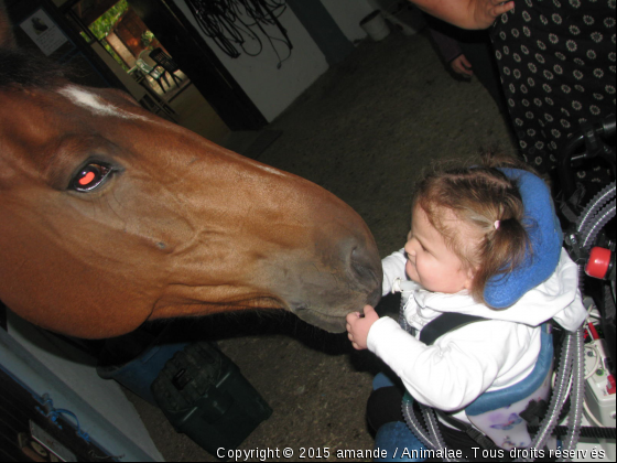 Meme pas peur!! - Photo de Chevaux