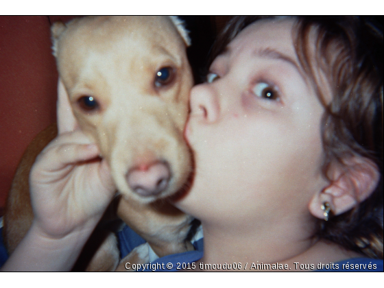 timou et loulou - Photo de Chiens