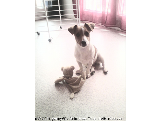 genny &lt;3 - Photo de Chiens