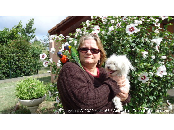 canelle et coco - Photo de Oiseaux