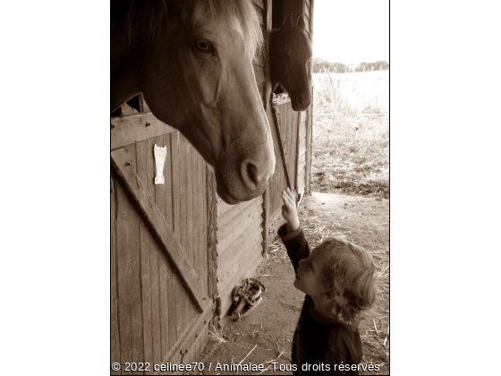 Mon neveu et ma jument :) - Photo de Chevaux