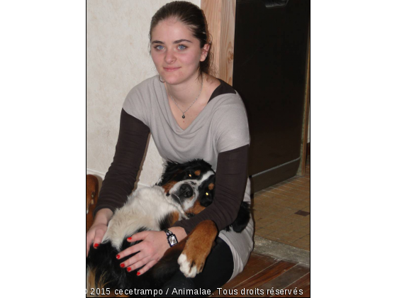 L&#039;amour des animaux !! en plein stress ma pepette ! - Photo de Chiens